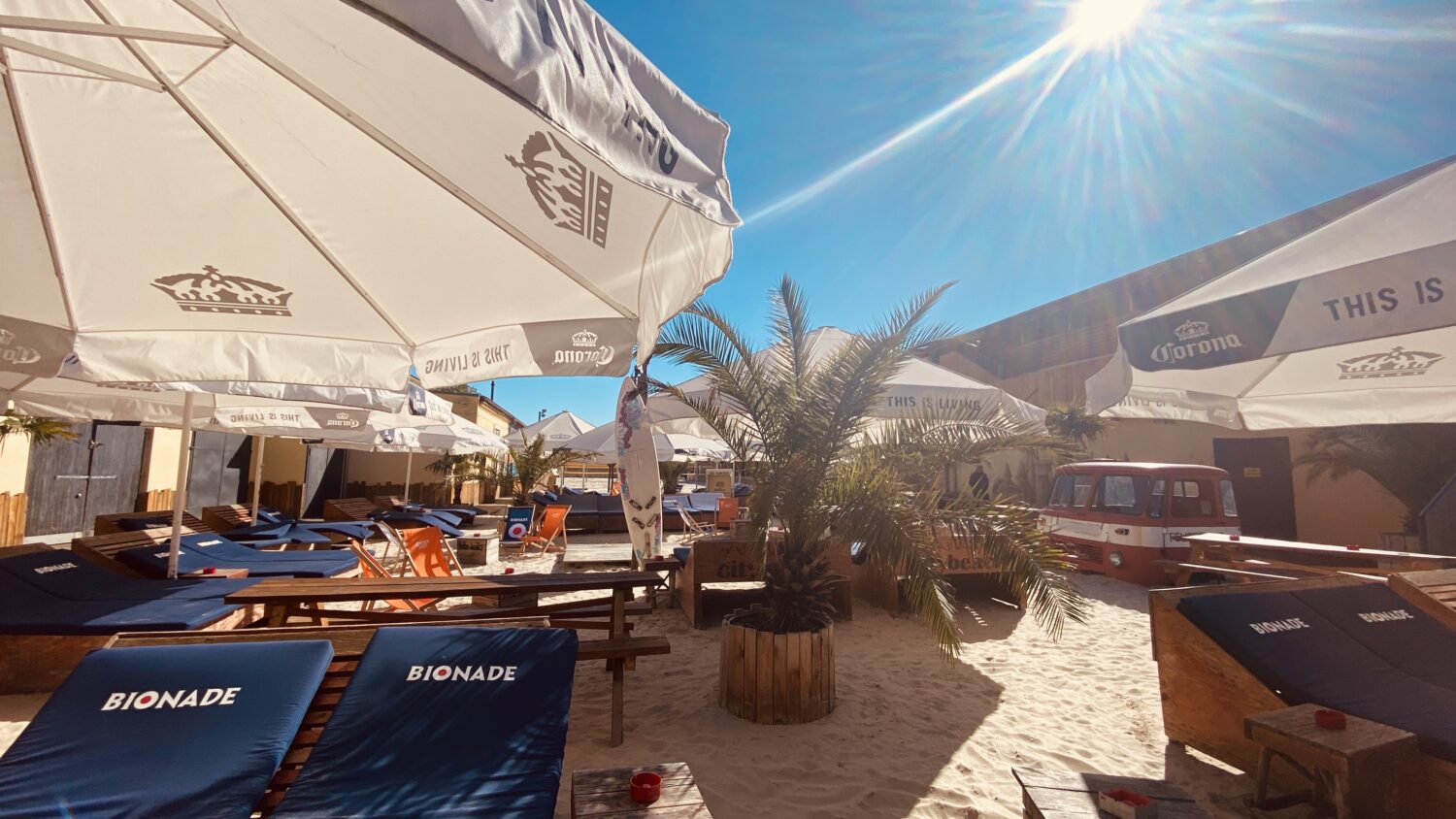 Ein helles Foto zeigt den Citybeach in Dresden zur Mittagszeit. Helle Sandflächen sind mit zahlreichen hölzernen Liegestühlen mit grauen Auflagen und kleinen Holztischen bestückt. Weiße Sonnenschirme mit "Corona" und "THIS IS LIVING" Aufdruck spenden Schatten. Im Vordergrund stehen zwei Palmen in hölzernen Pflanzkübeln. Die Szene vermittelt eine friedliche, sommerliche Atmosphäre, ideal für eine entspannte Mittagspause am Strand in Dresden.