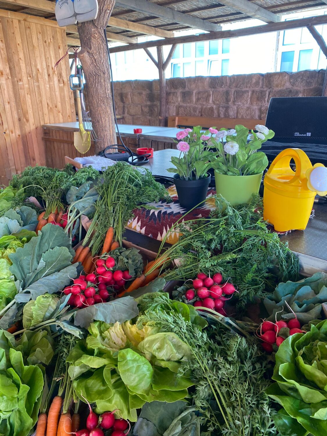 Üppige Dekoration mit frischem Gemüse, Salat und Blumen in einem Veranstaltungsbereich des Schreber31 im Jahr 2022.