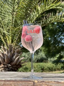 Alkoholfreier Lillet Berry mit Eiswürfeln und tiefgekühlten Himbeeren vor einer Palme – Kategorie Speisen & Getränke.